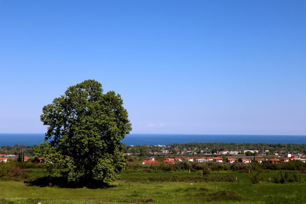 Elioj House Villa Leptokariá Kültér fotó