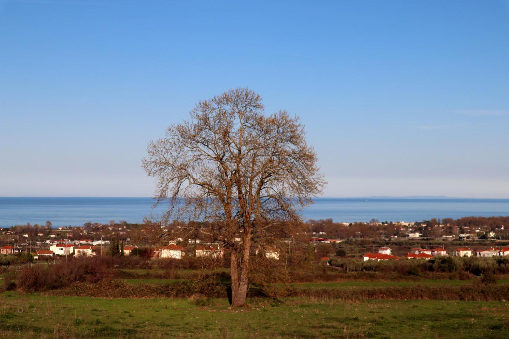 Elioj House Villa Leptokariá Szoba fotó
